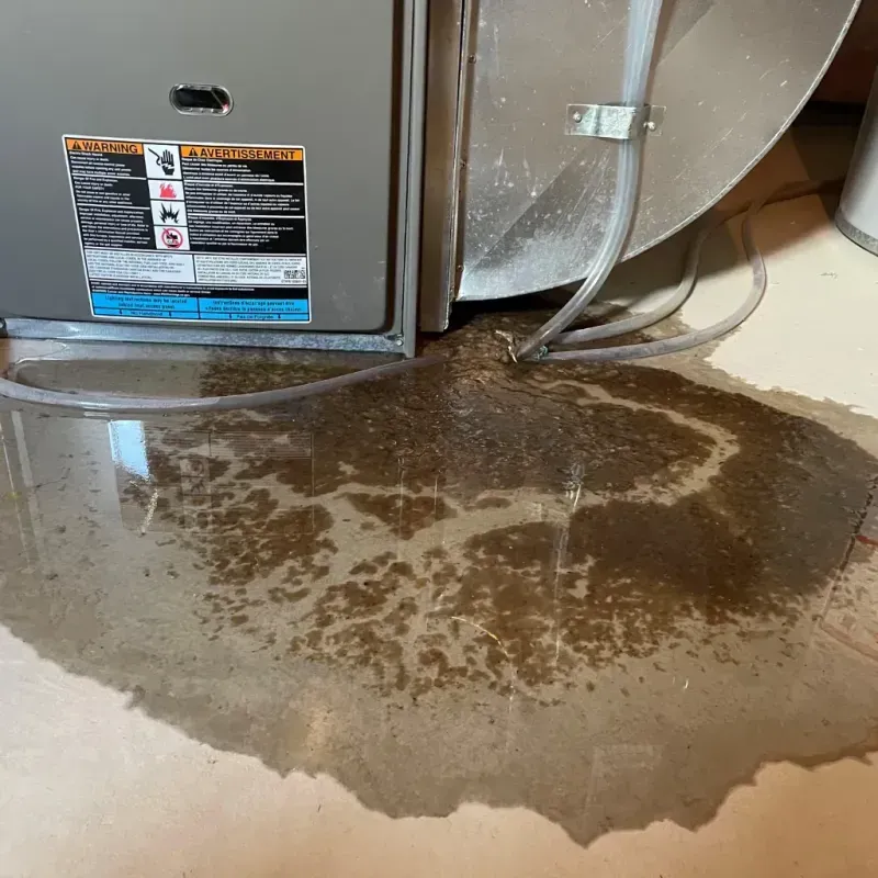 Appliance Leak Cleanup in Bristol, VT